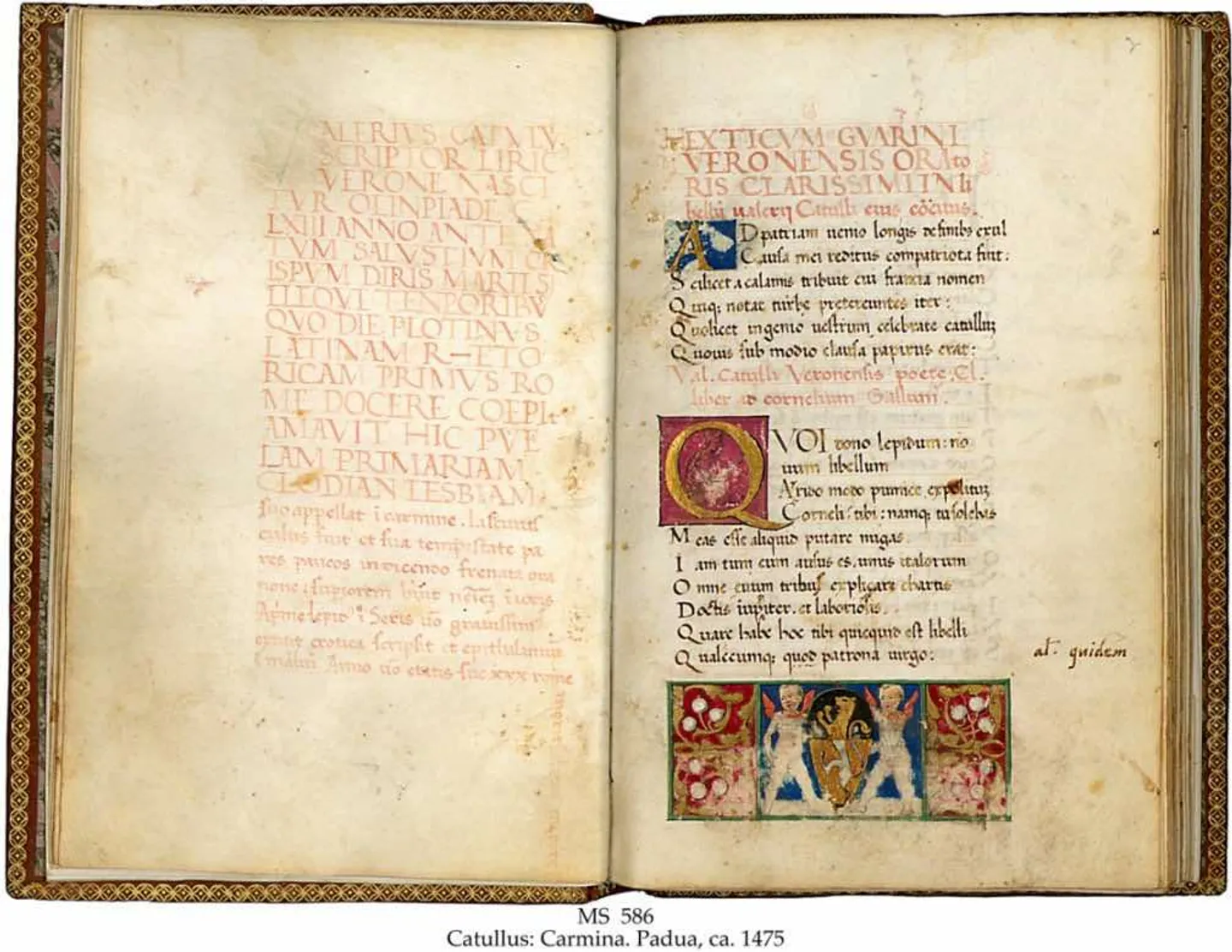 Bibliotheca Manuscripts Schoeyana