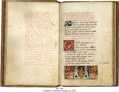 Bibliotheca Manuscripts Schoeyana