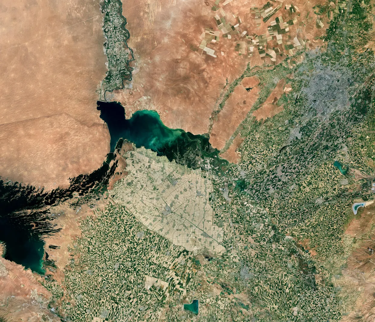 ESA's Collection of Earth Observation