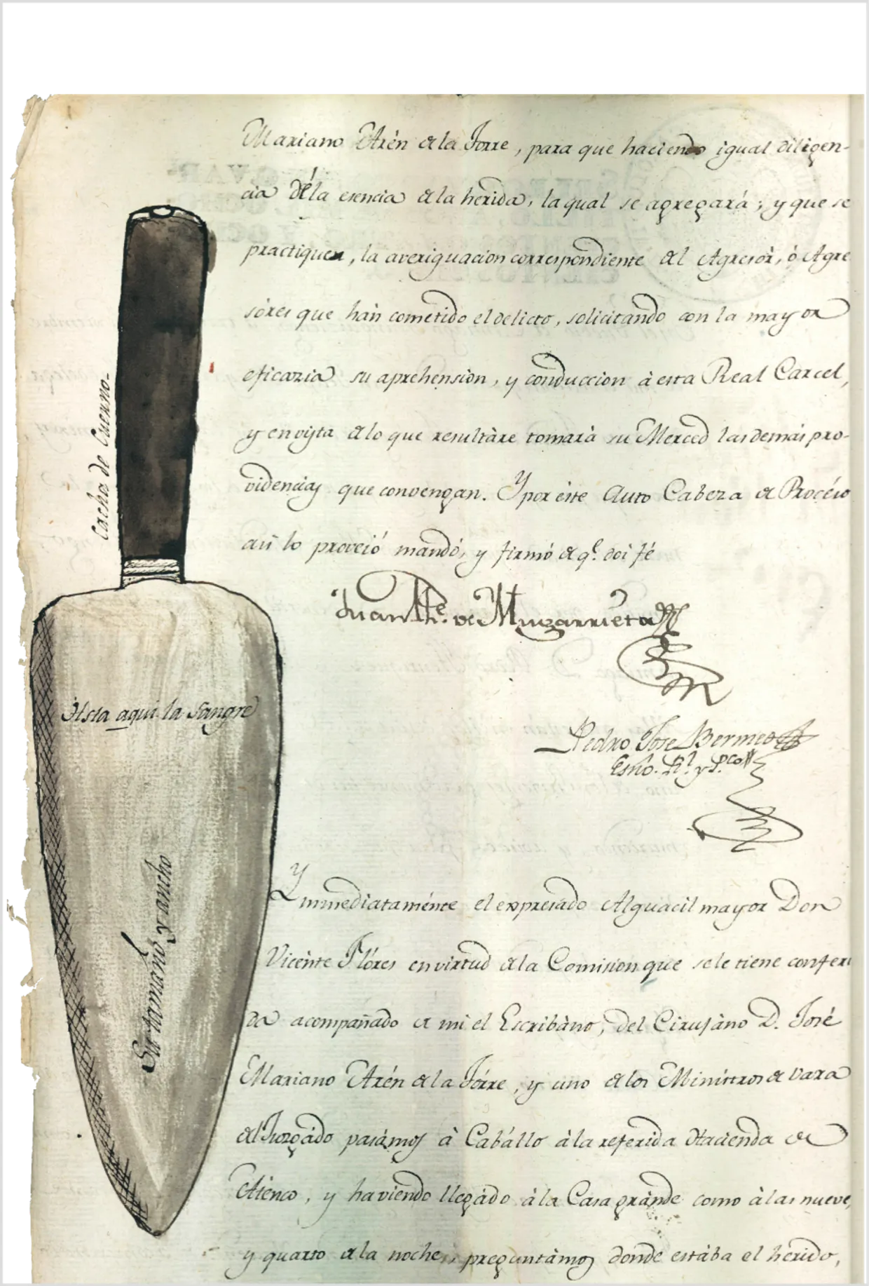 Court orders, decisions, and judgements