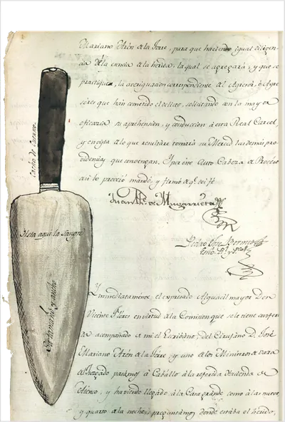 Court orders, decisions, and judgements