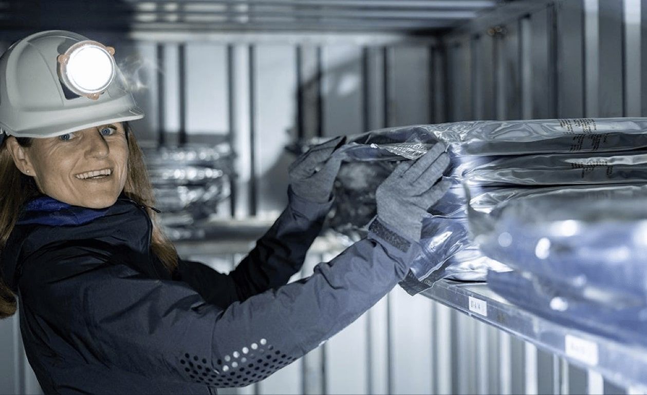 Katrine depositing data in the vault