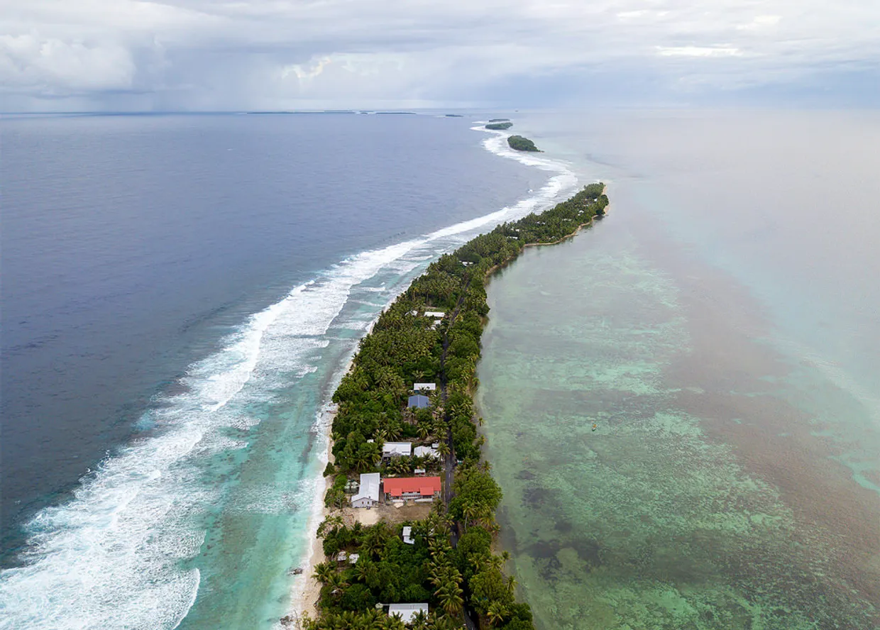Sea Walls & Mangrove Trees in the Pacific Region